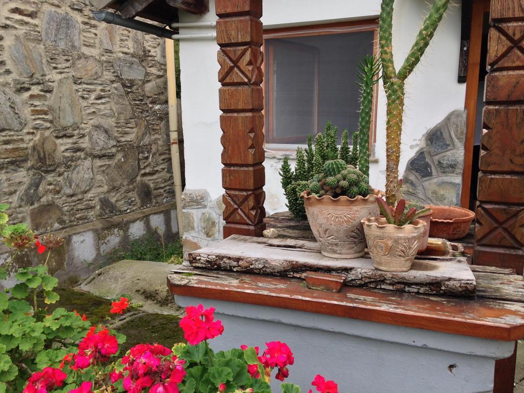 Petra Apartmanok Velem Εξωτερικό φωτογραφία